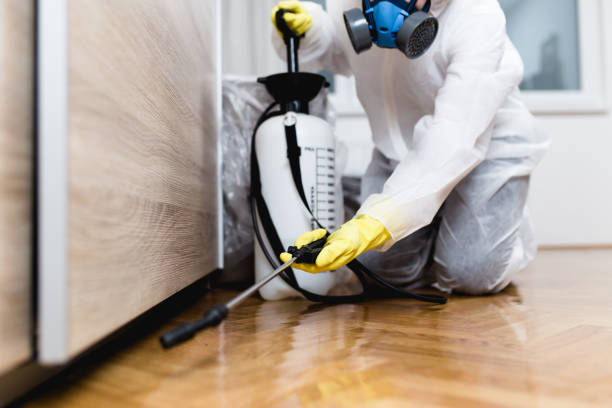 Best Exterminator Services  in Riverside, CT