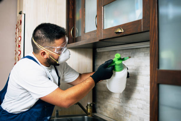 Best Insect Control  in Riverside, CT