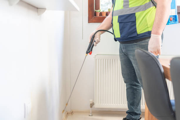 Best Affordable Pest Control Services  in Riverside, CT
