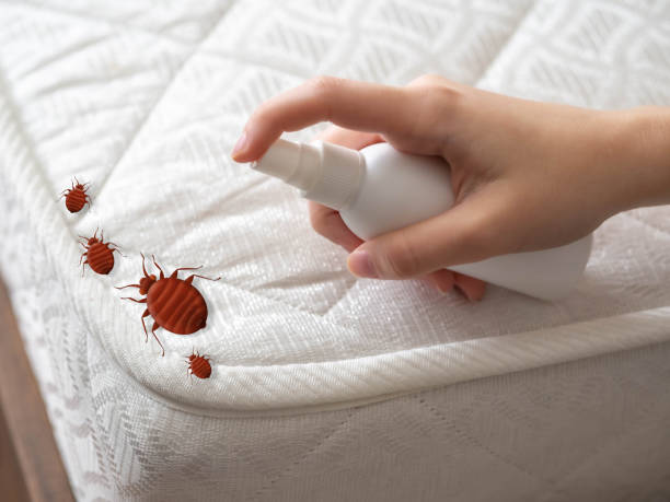 Pest Prevention Services in Riverside, CT