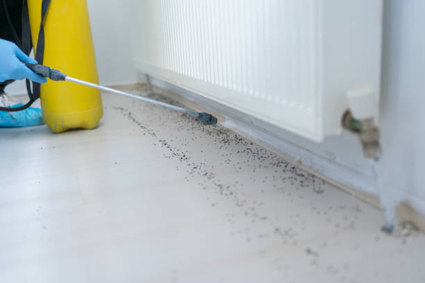 Riverside, CT Pest Control Company
